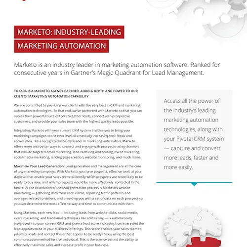 Marketo Marketing Automation Consulting Services